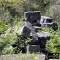 Quaderkalk Stbr. Luetzelbruch bei Lindelbach nahe Wuerzburg, Bayern, (D) - 18. Mai 2023 (20).JPG